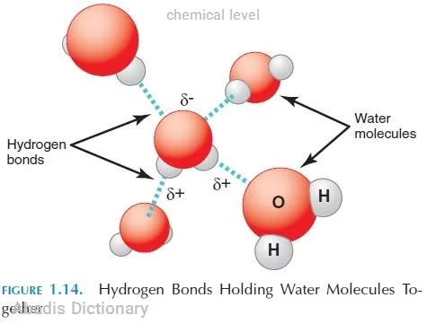 chemical level